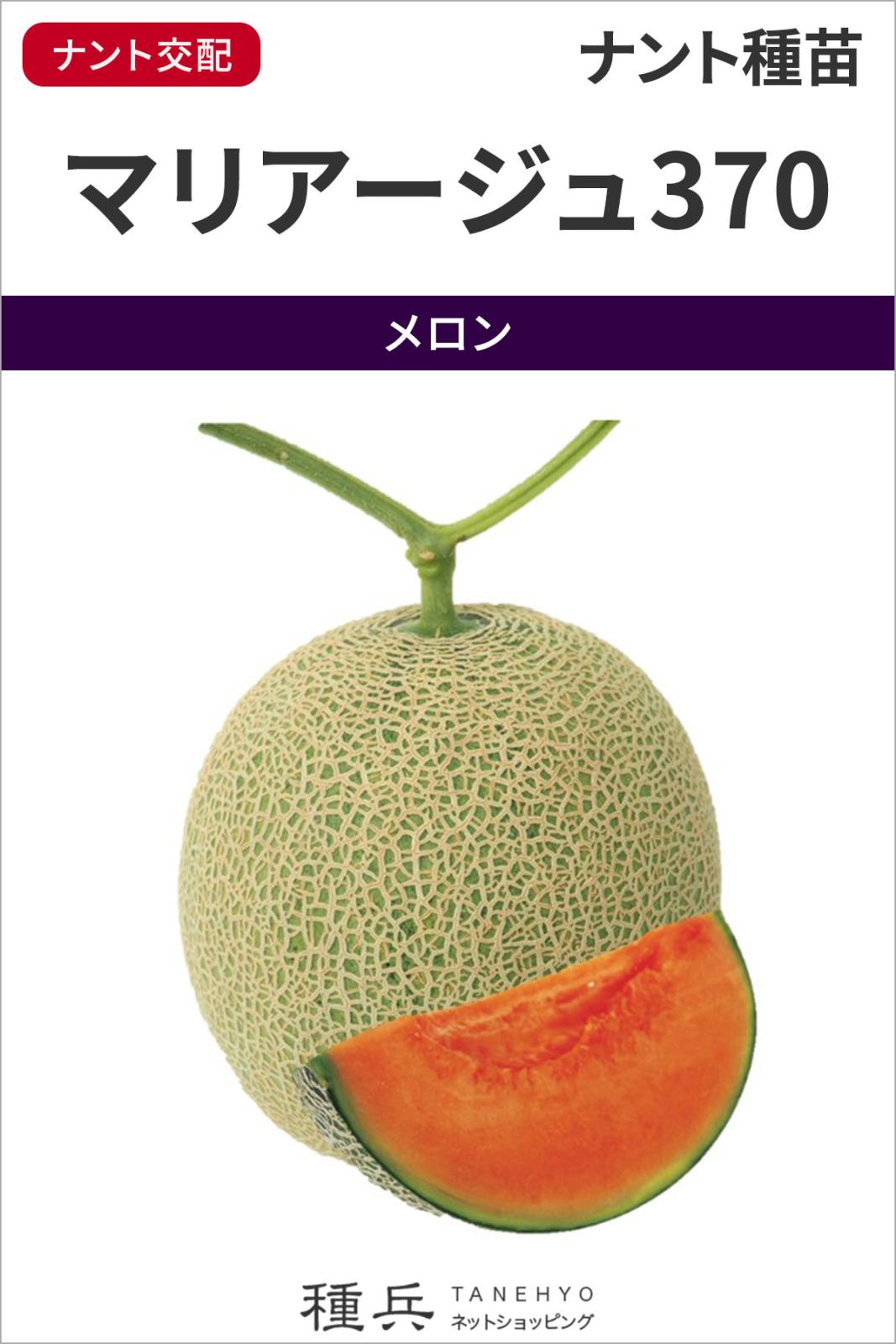 ネットメロン（赤肉） 種 『マリアージュ370』  ナント種苗