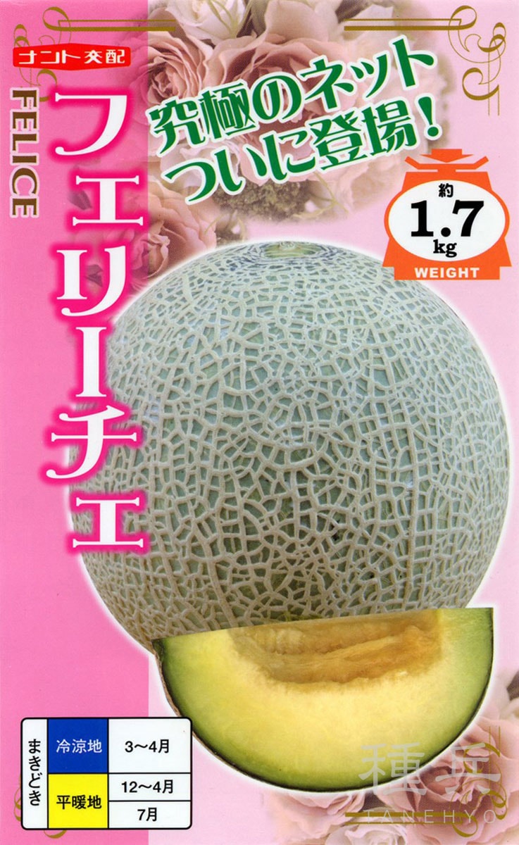 ネットメロン 種 『フェリーチェ』 ナント種苗 | たね,果菜の種,メロン