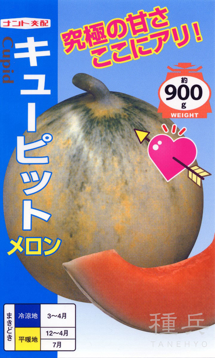 プリンス系メロン 種 『キューピット』  ナント種苗