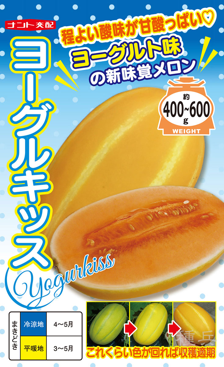 プリンス系メロン(赤肉) 種 『ヨーグルキッス』 ナント種苗 | たね