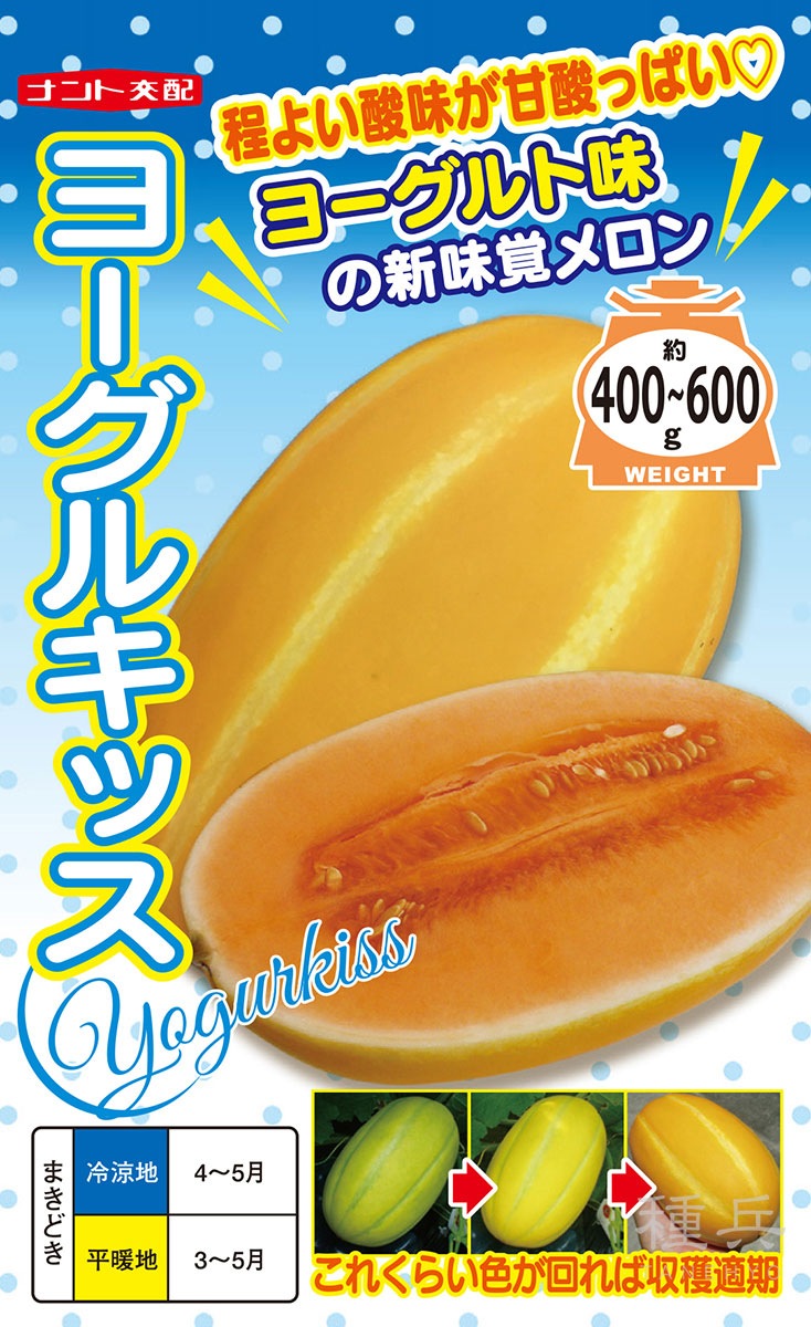 プリンス系メロン(赤肉) 種 『ヨーグルキッス』 ナント種苗 | たね