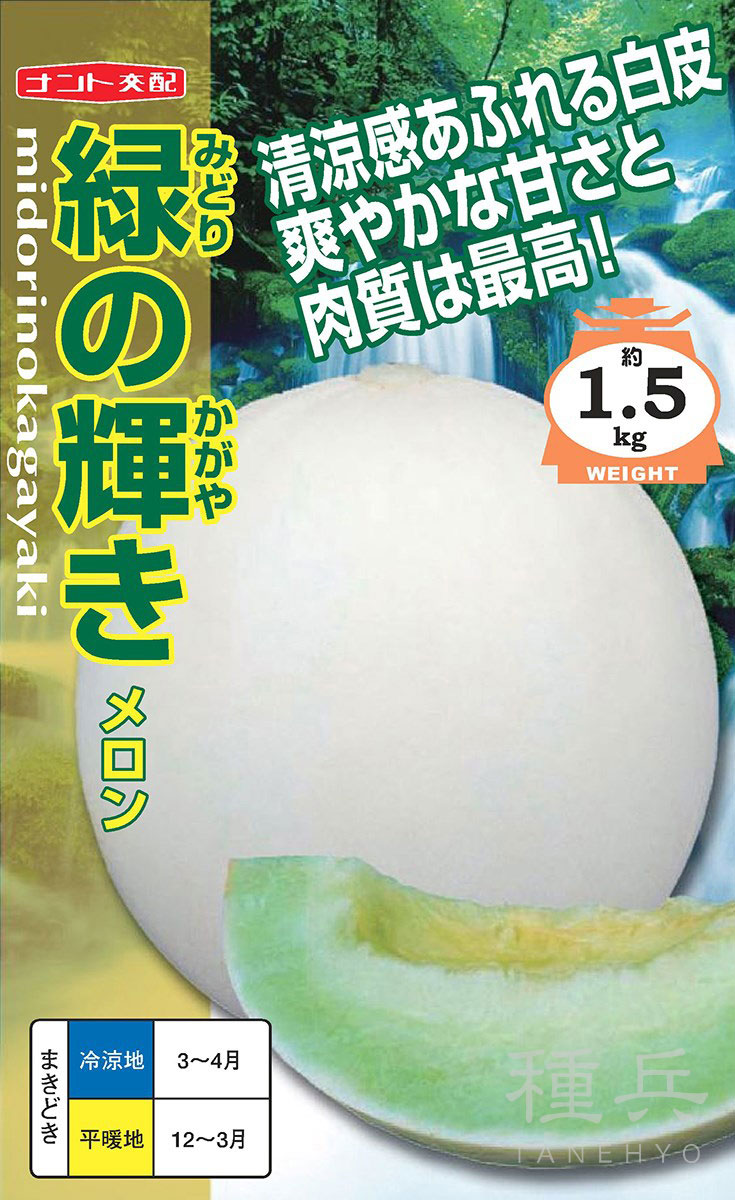 プリンス系メロン 種 『緑の輝き』 ナント種苗 | たね,果菜の種,メロン