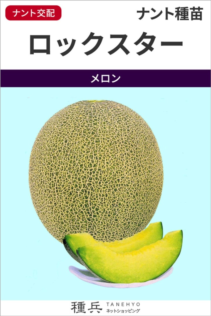 ネットメロン 種 『ロックスター』  ナント種苗