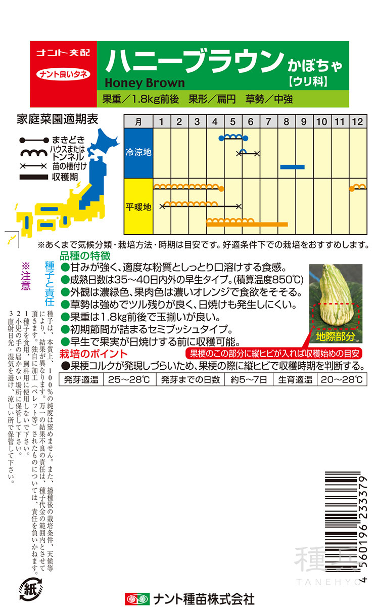 栗カボチャ 種 『ハニーブラウン』 ナント種苗 | たね,果菜の種