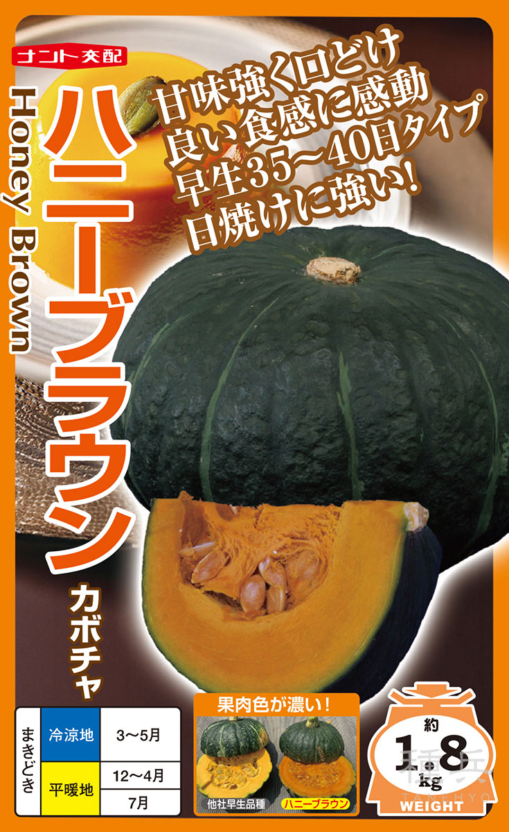 栗カボチャ 種 『ハニーブラウン』 ナント種苗 | たね,果菜の種