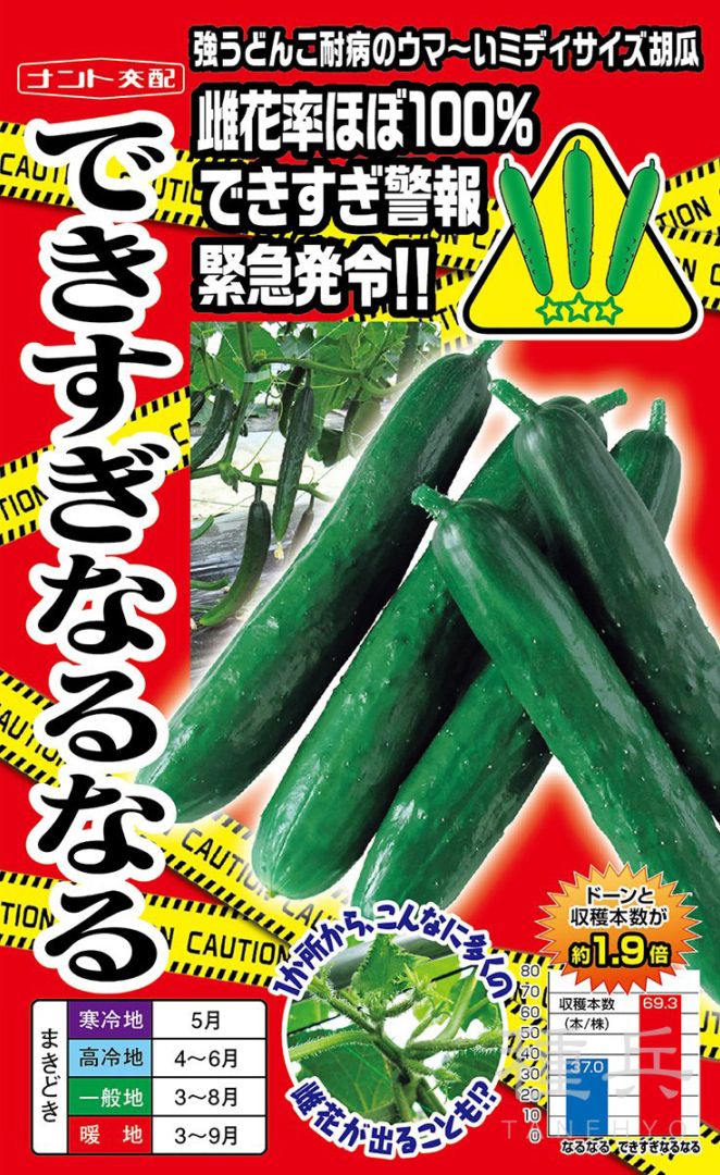 キュウリ 種 『できすぎなるなる』  ナント種苗