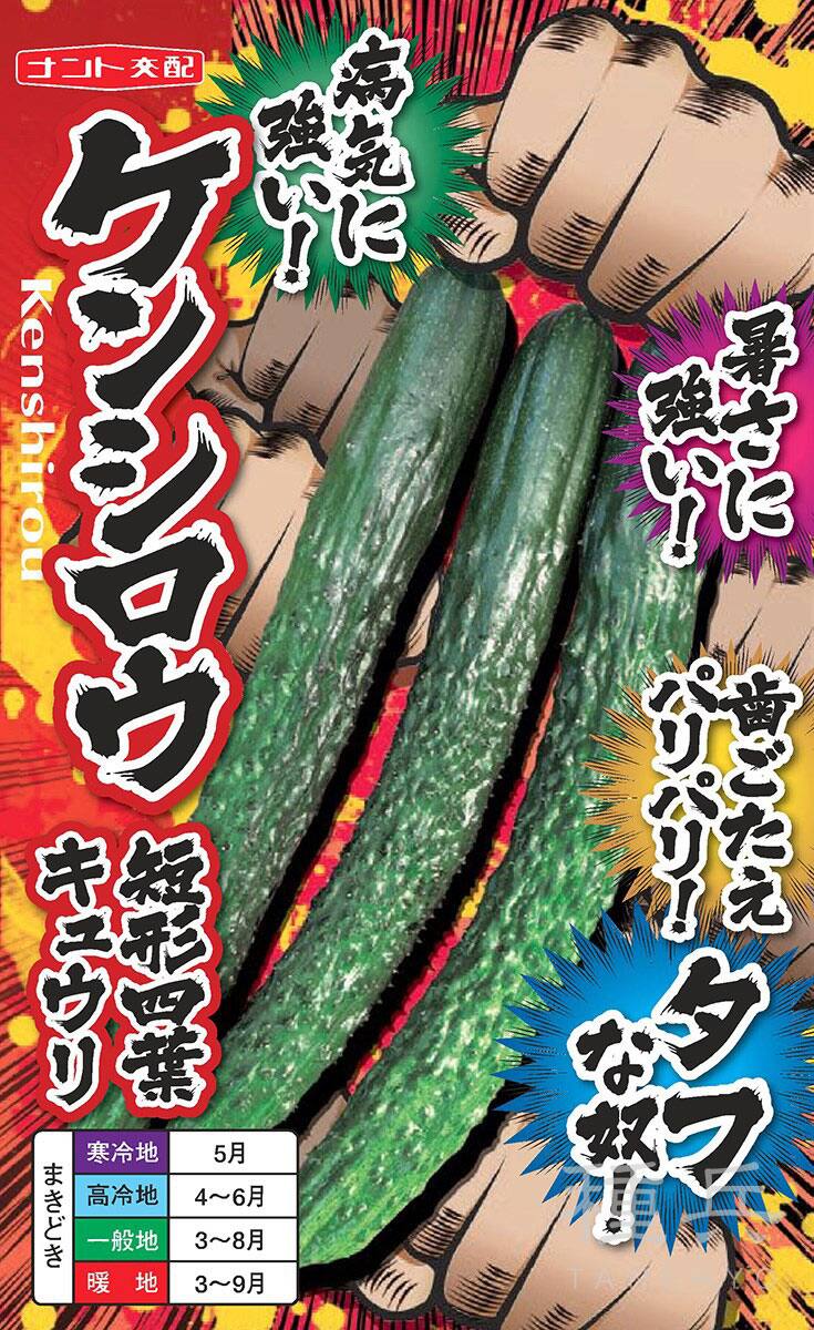 四葉キュウリ 種 『ケンシロウ』  ナント種苗