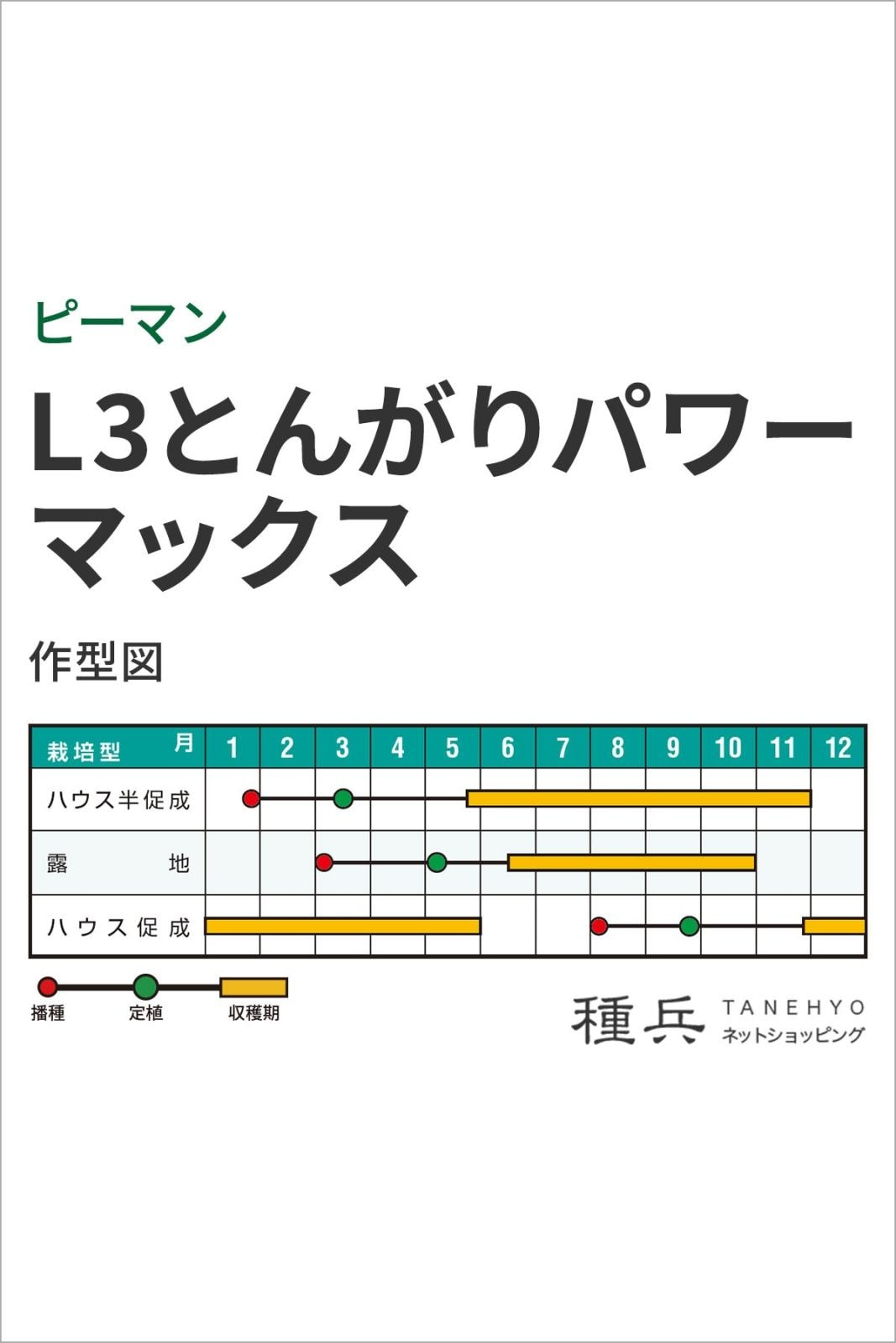 大型ピーマン 種 『L3とんがりパワーマックス』 ナント種苗 | たね