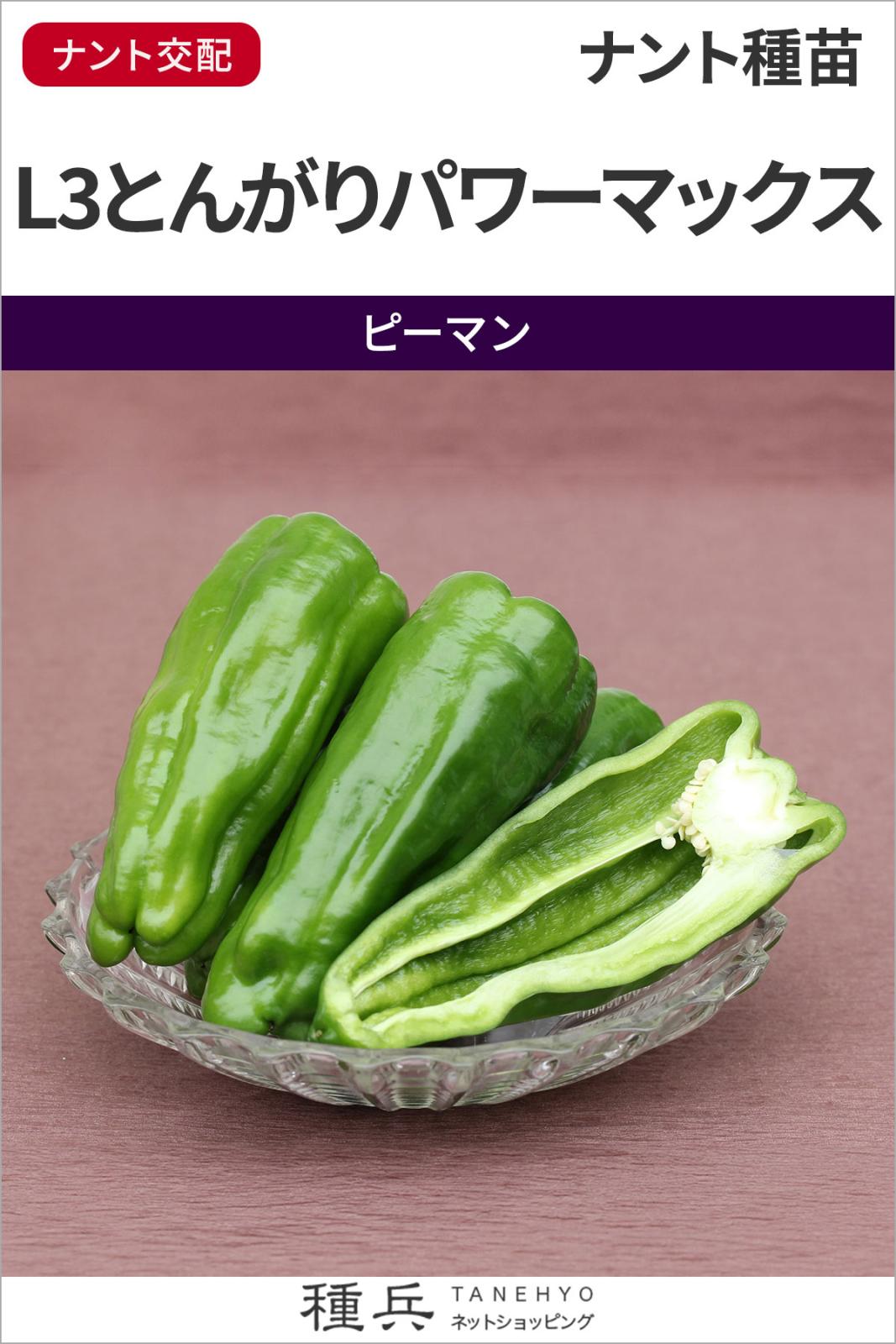 大型ピーマン 種 『L3とんがりパワーマックス』 ナント種苗 | たね