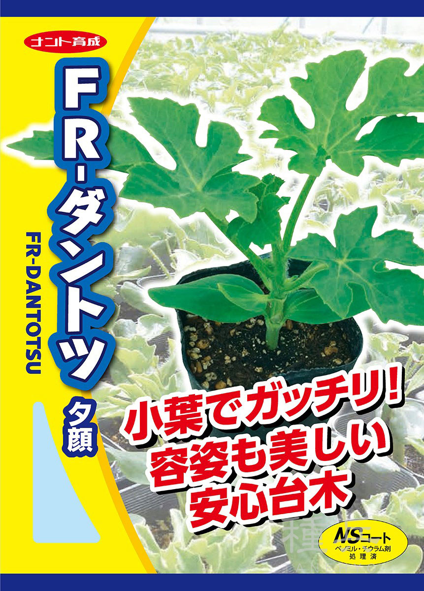 スイカ台木（夕顔） 種 『FR-ダントツ』  ナント種苗