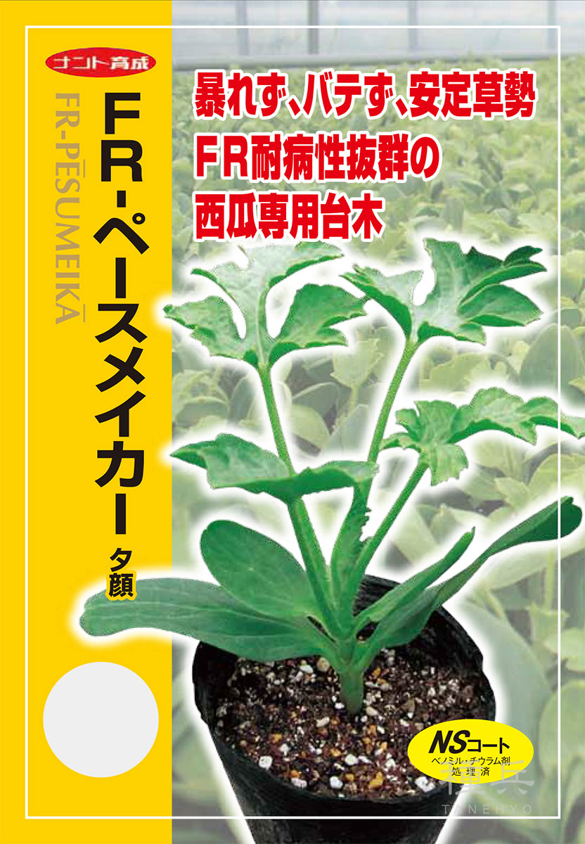 スイカ台木（夕顔） 種 『FR-ペースメイカー』  ナント種苗