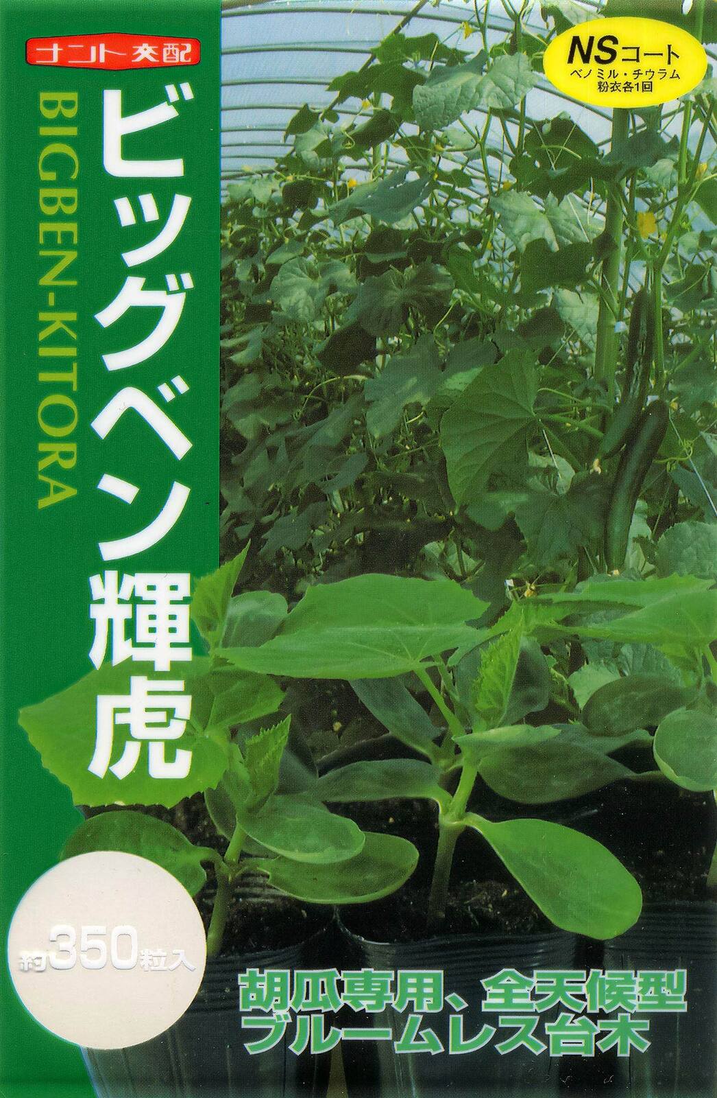 キュウリ台木 種 『ビッグベン輝虎』  ナント種苗
