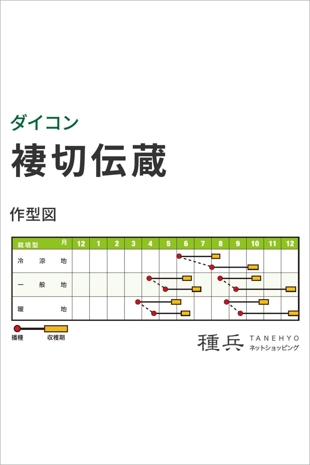 【7b】褄切伝蔵 2dl 大根 ダイコン だいこん 【ナント 種 たね タネ 】【通常5倍 5のつく日はポイント10倍】