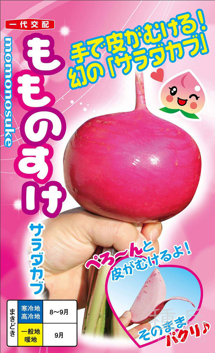 赤カブ 種 『もものすけ』  ナント種苗