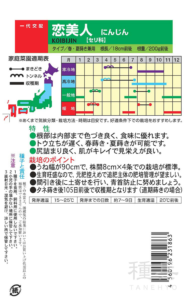 ニンジン 種 『恋美人』 ナント種苗 | たね,根菜の種,ニンジン