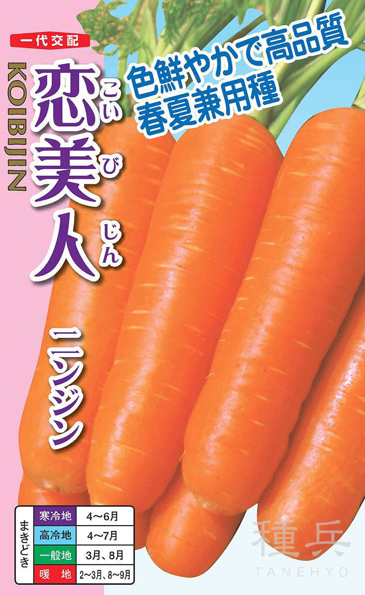ニンジン 種 『恋美人』 ナント種苗 | たね,根菜の種,ニンジン