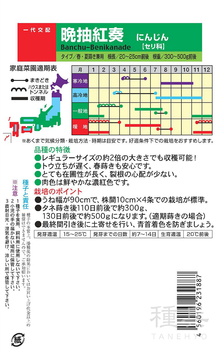 ジャンボニンジン 種 『晩抽紅奏（べにかなで）』 ナント種苗 | たね
