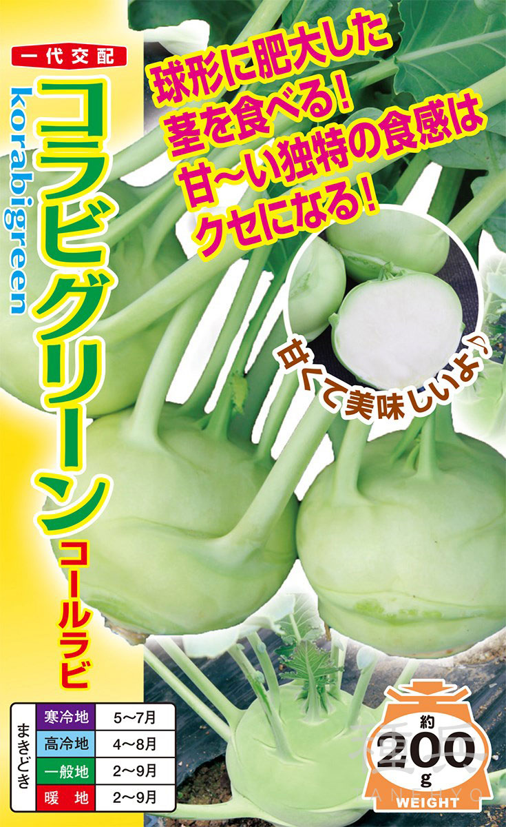 コールラビ 種 『コラビグリーン』  ナント種苗