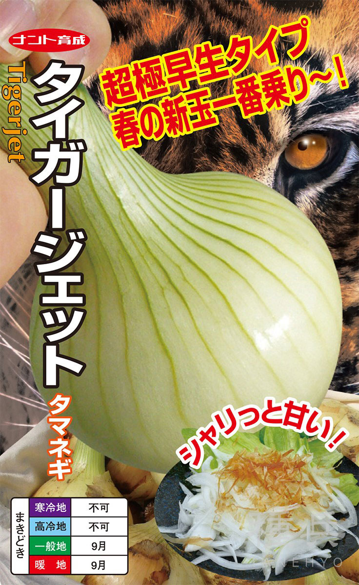 超極早生タマネギ 種 『タイガージェット』  ナント種苗