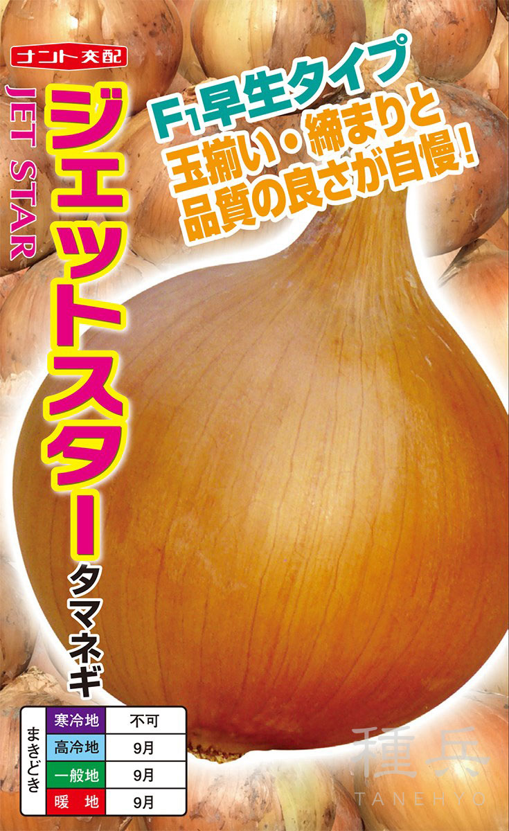 早生タマネギ 種 『ジェットスター』  ナント種苗
