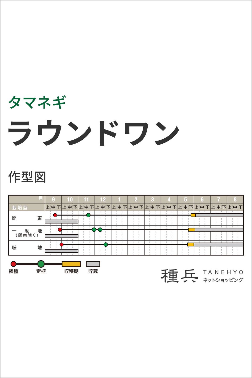 中生タマネギ 種 『ラウンドワン』 ナント種苗 | たね,根菜の種
