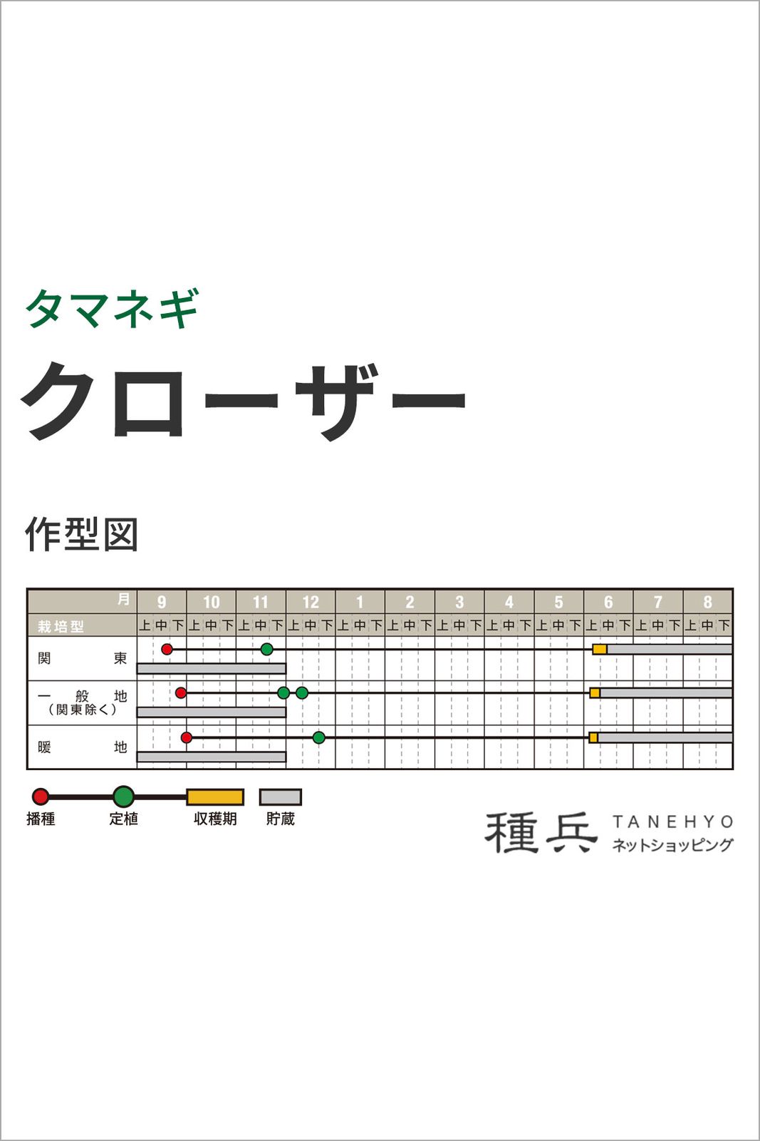 中晩生タマネギ 種 『クローザー』 ナント種苗 | たね,根菜の種