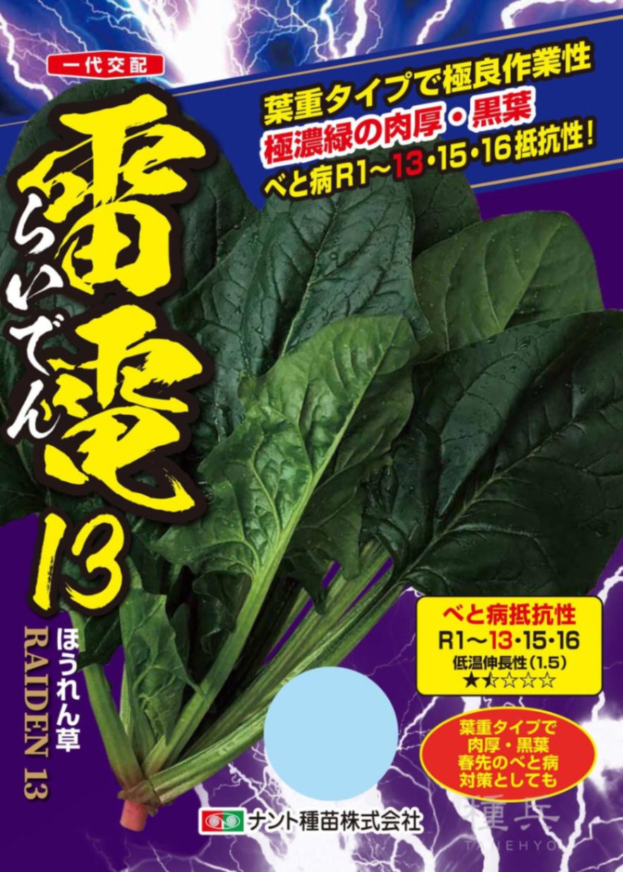 ホウレンソウ 種 『雷電13』  ナント種苗