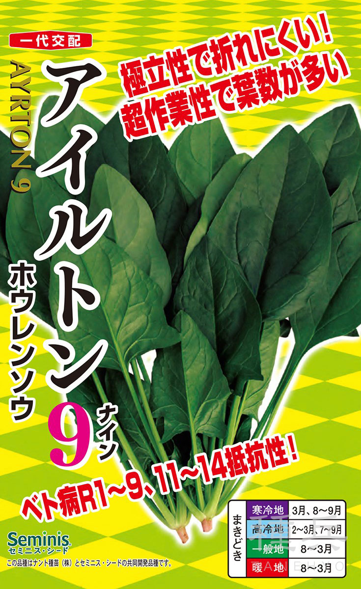 ホウレンソウ 種 『アイルトン９』  ナント種苗