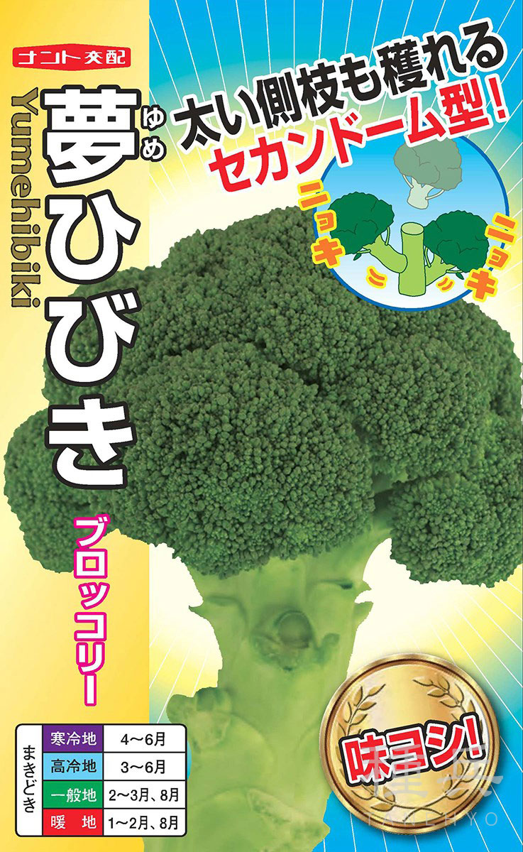 ブロッコリー 種 『夢ひびき（おかわりクン）』 ナント種苗 | たね,葉