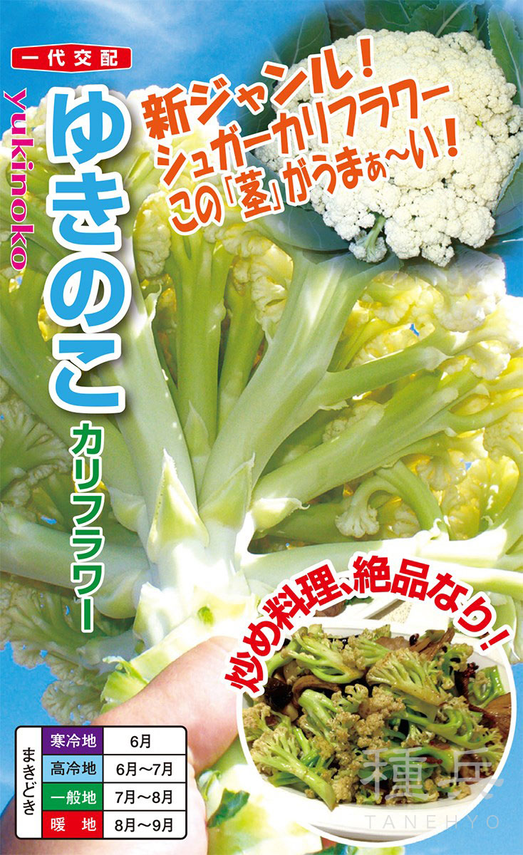 シュガーカリフラワー 種 『ゆきのこ65』  ナント種苗