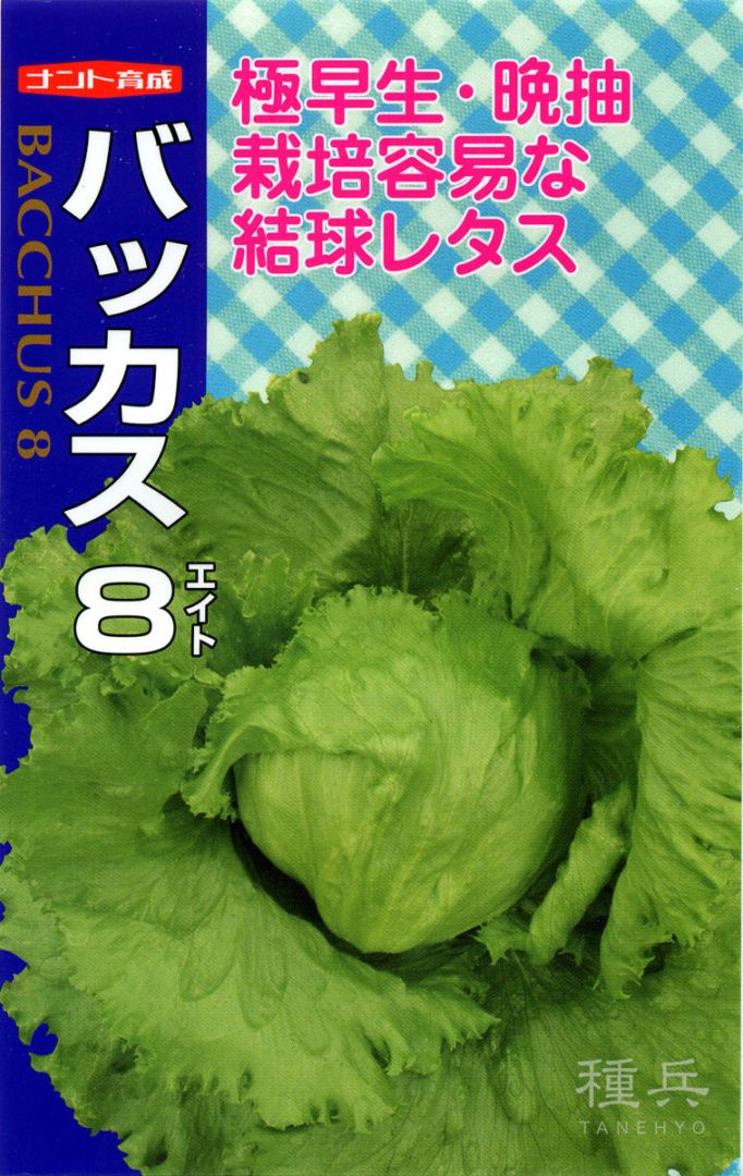 結球レタス 種 『バッカス8』 ナント種苗 | たね,葉菜の種,レタス,玉