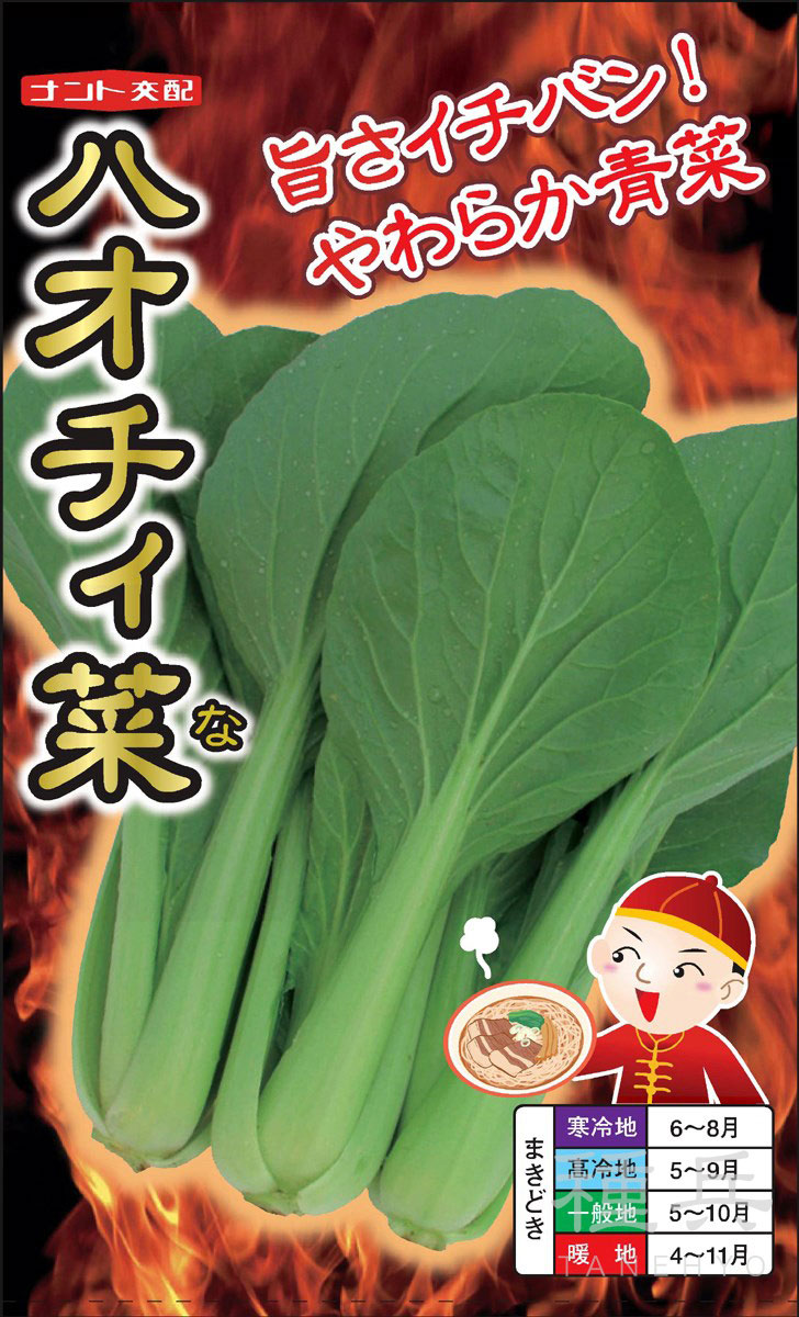 中国つけ菜 種 『ハオチィ菜』  ナント種苗