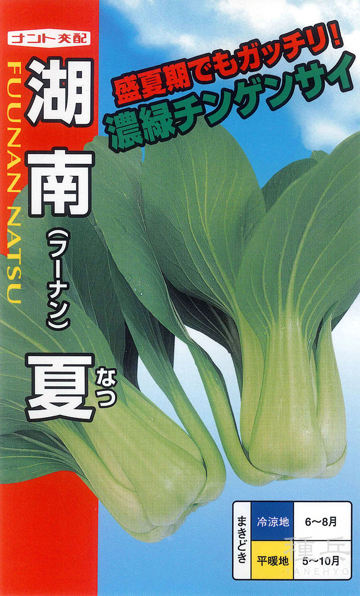 チンゲンサイ 種 『湘南夏チンゲンサイ』  ナント種苗