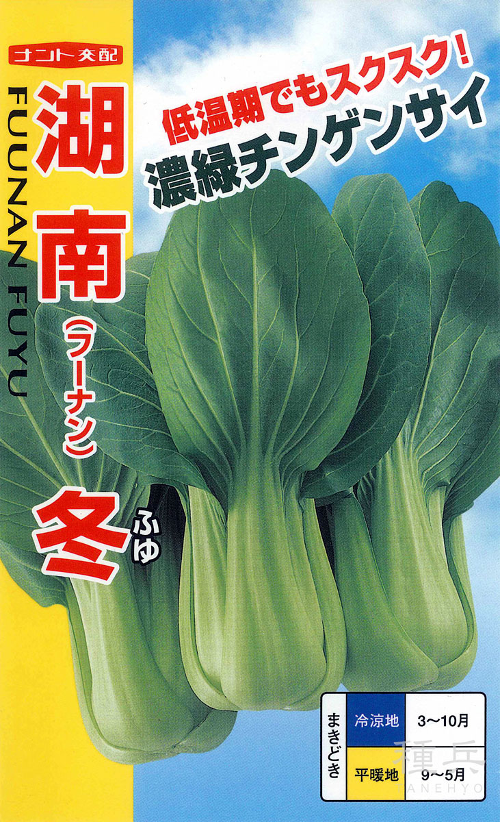 チンゲンサイ 種 『湘南冬チンゲンサイ』  ナント種苗