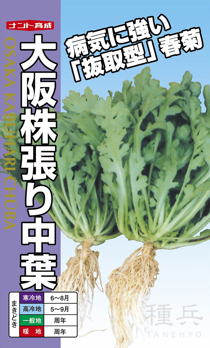 シュンギク 種 『大阪株張り中葉』  ナント種苗