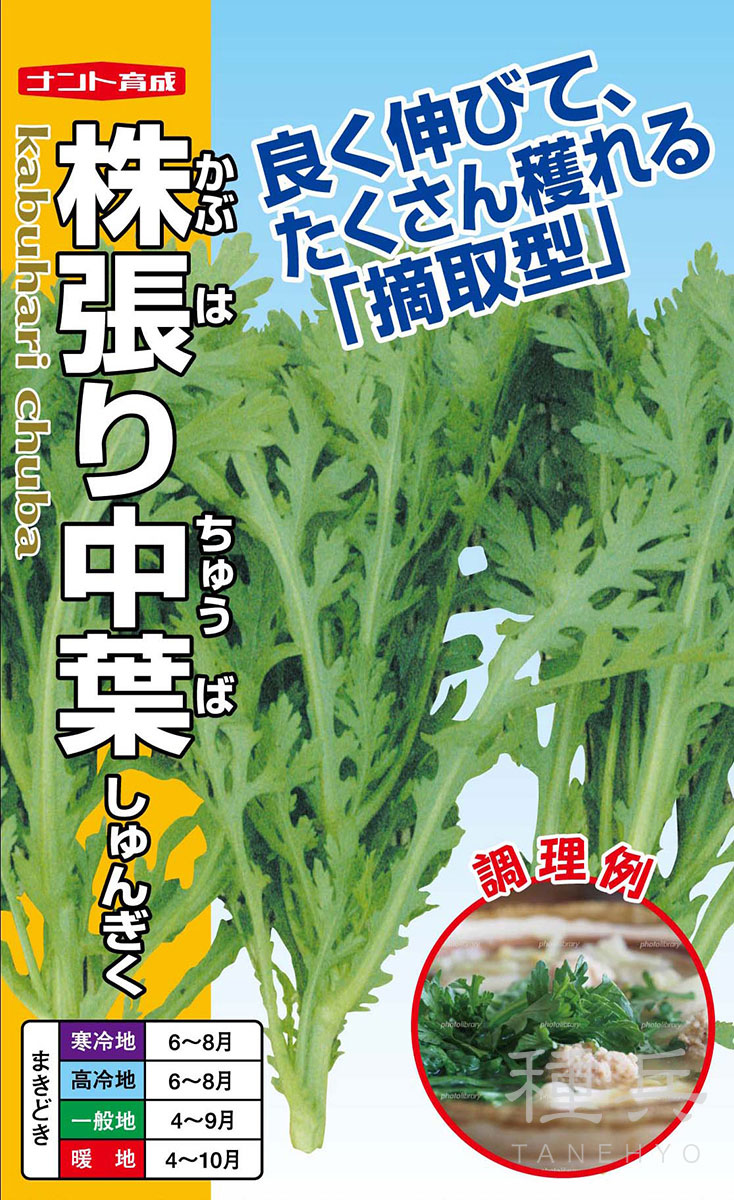 シュンギク 種 『株張り中葉』  ナント種苗
