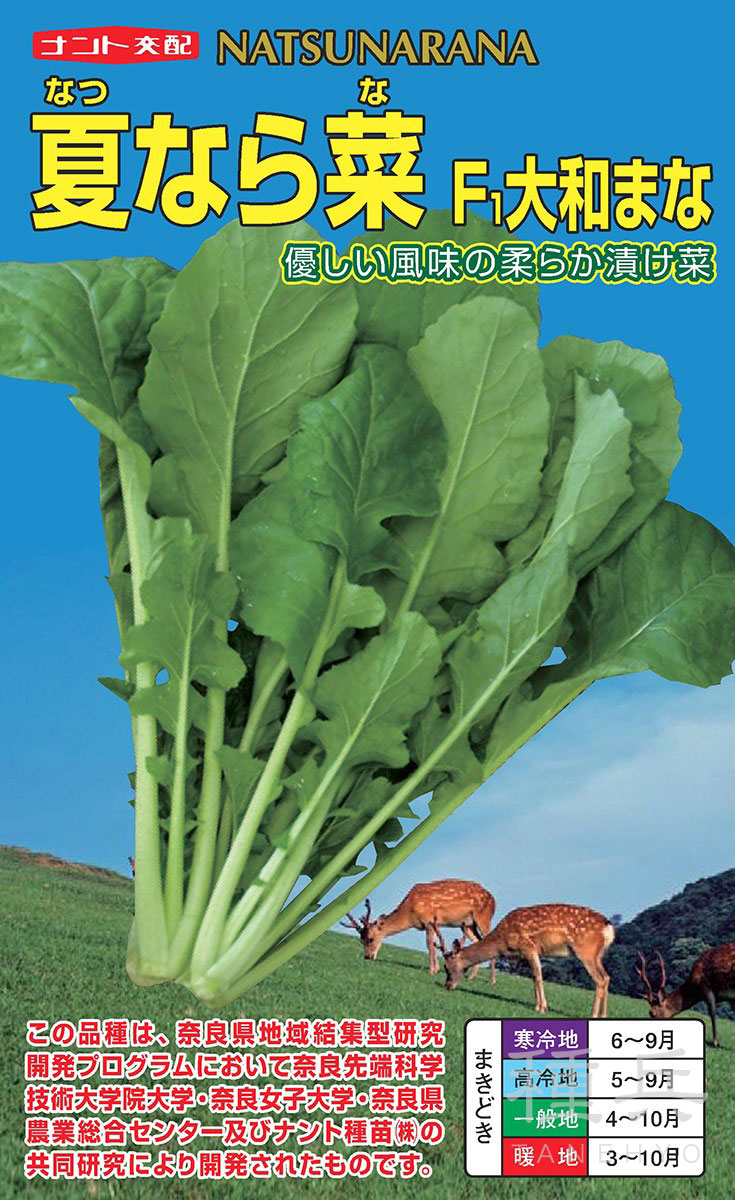 アブラナ 種 『非結球アブラナ科 夏なら菜(F1大和まな)』  ナント種苗