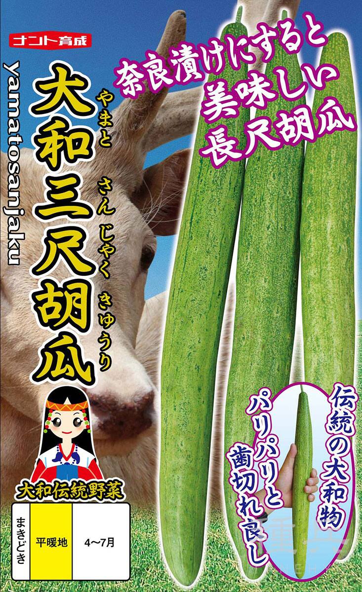 長尺胡瓜 種 『大和三尺きゅうり』  ナント種苗