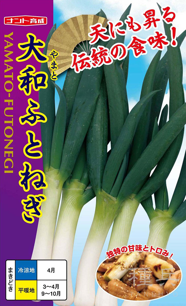 根深ネギ 種 『大和ふとねぎ』  ナント種苗