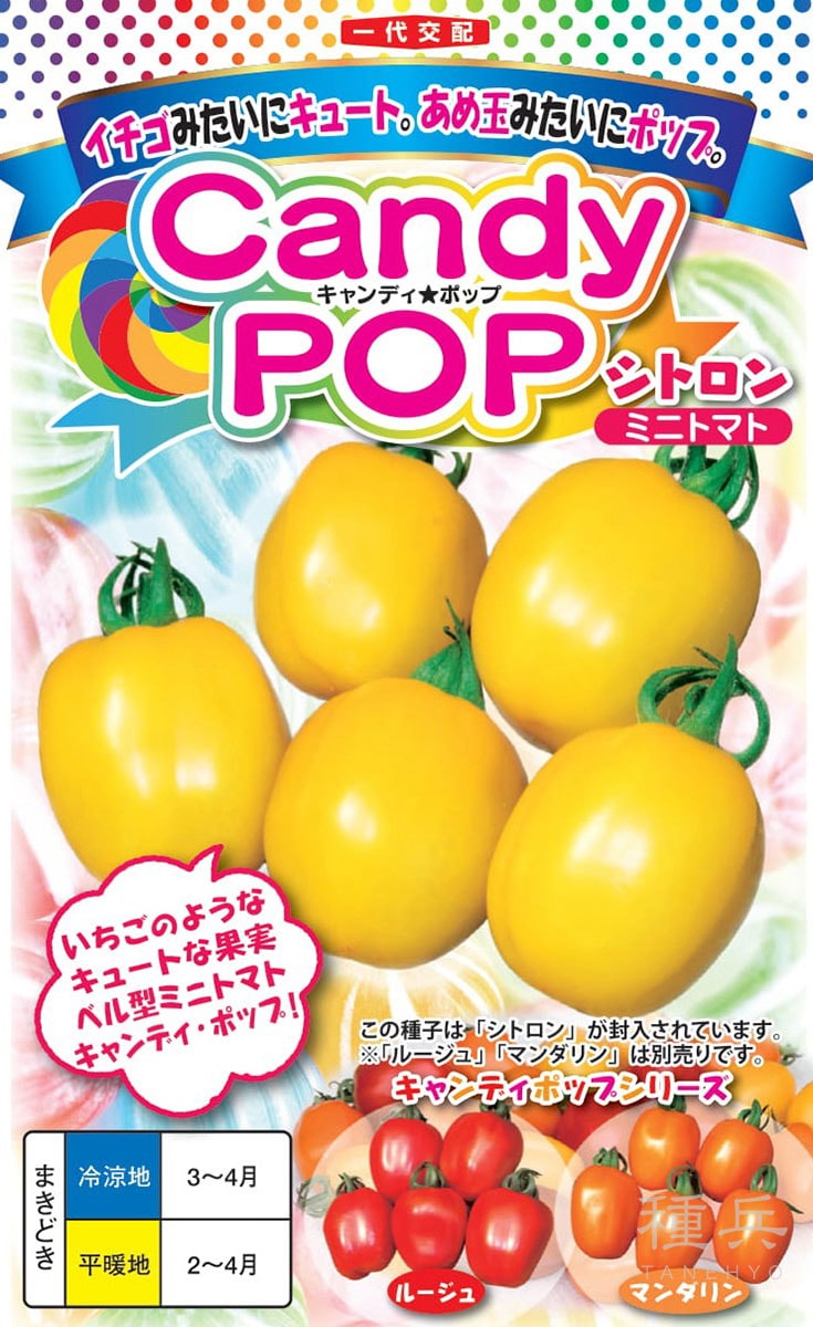 ベル型ミニトマト 種 『キャンディポップ シトロン』 ナント種苗