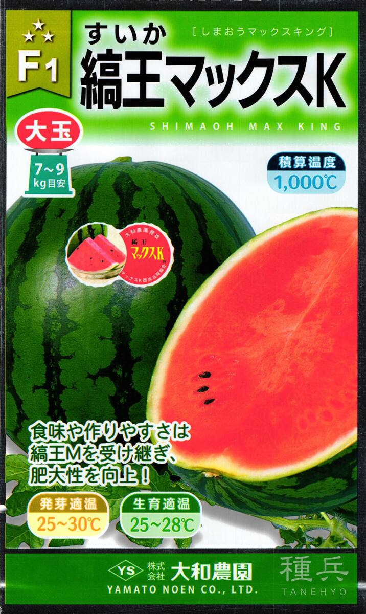 大玉スイカ 種 『縞王マックスＫ【キング】』  大和農園