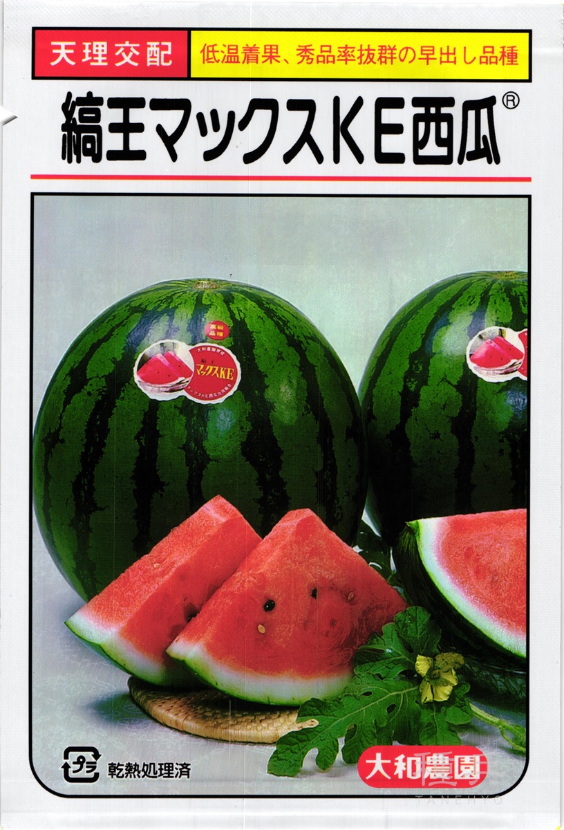 大玉スイカ 種 『縞王マックスＫＥ』  大和農園