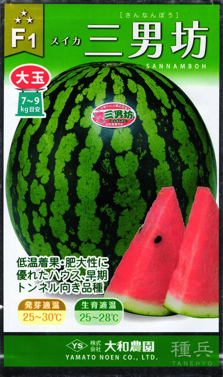 大玉スイカ 種 『三男坊』  大和農園