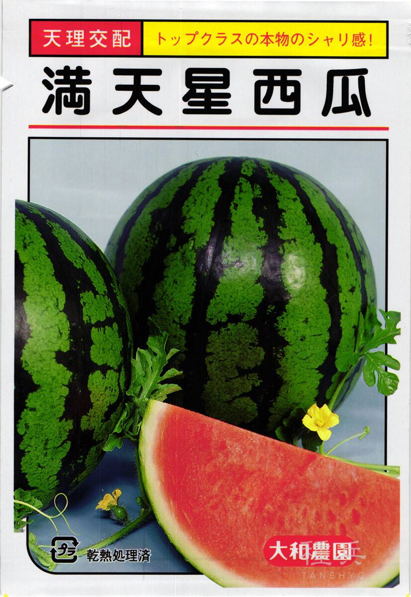 大玉スイカ 種 『満天星』  大和農園
