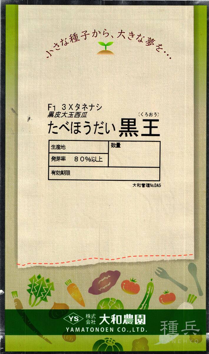 種なし大玉黒皮スイカ 種 『たべほうだい黒王』  大和農園