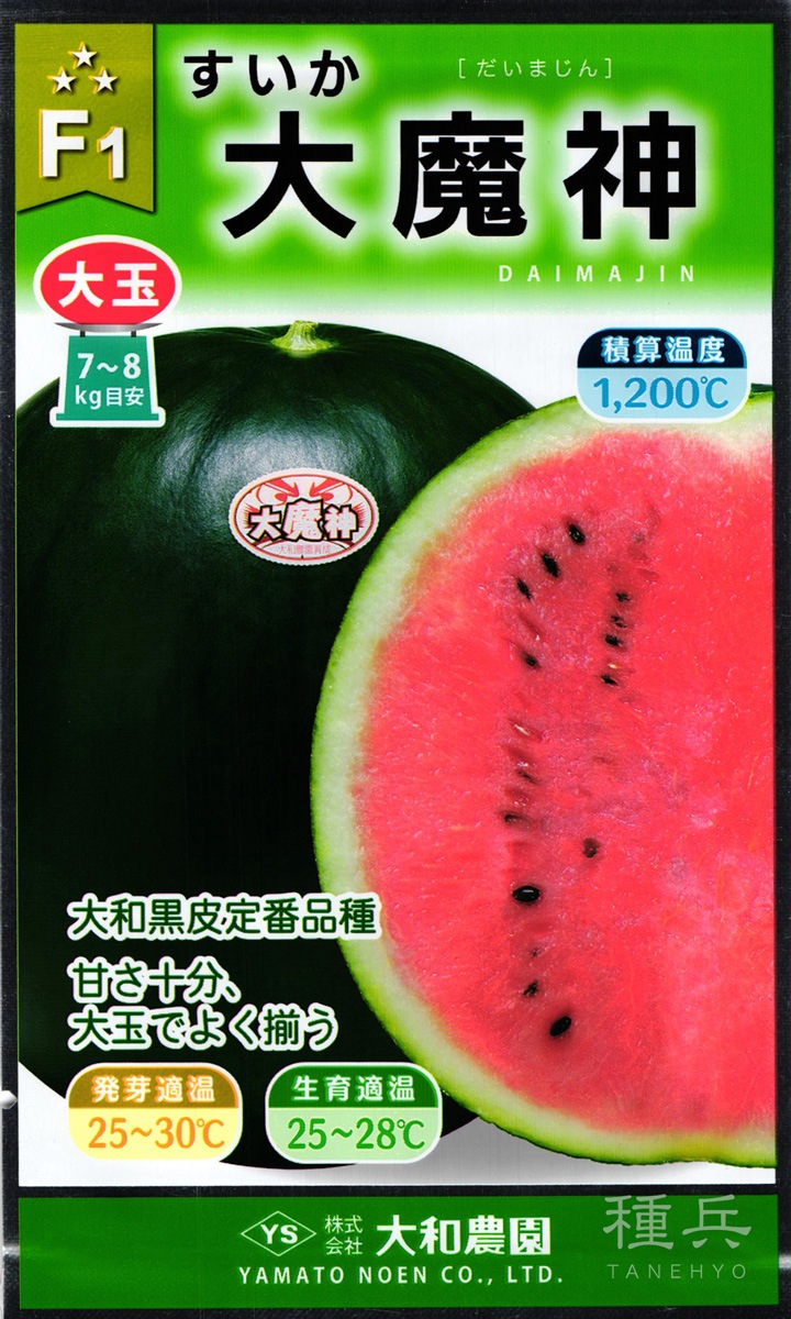 大玉黒皮スイカ 種 『大魔神』 大和農園 | たね,果菜の種,スイカ,中