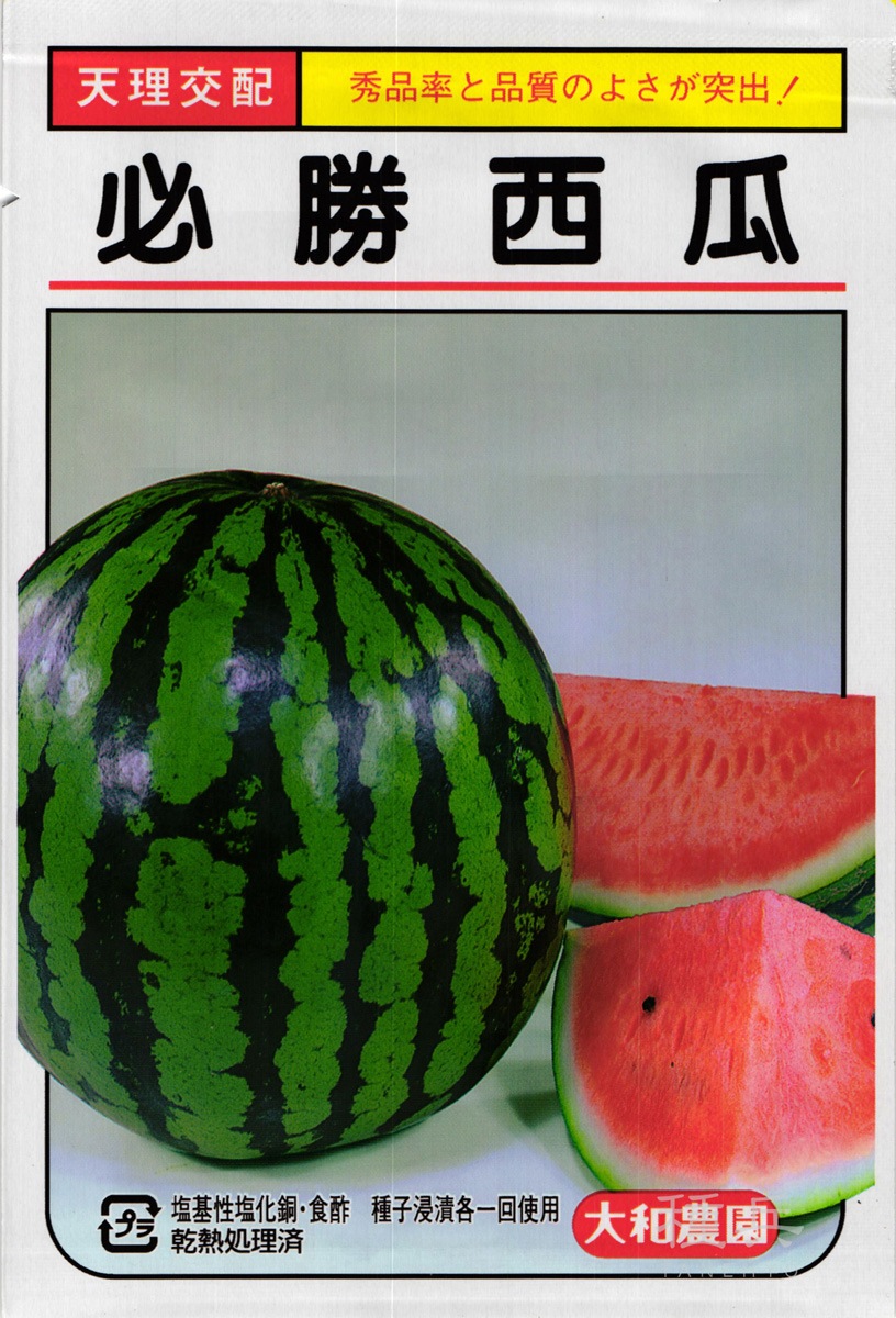 大玉スイカ 種 『必勝』  大和農園