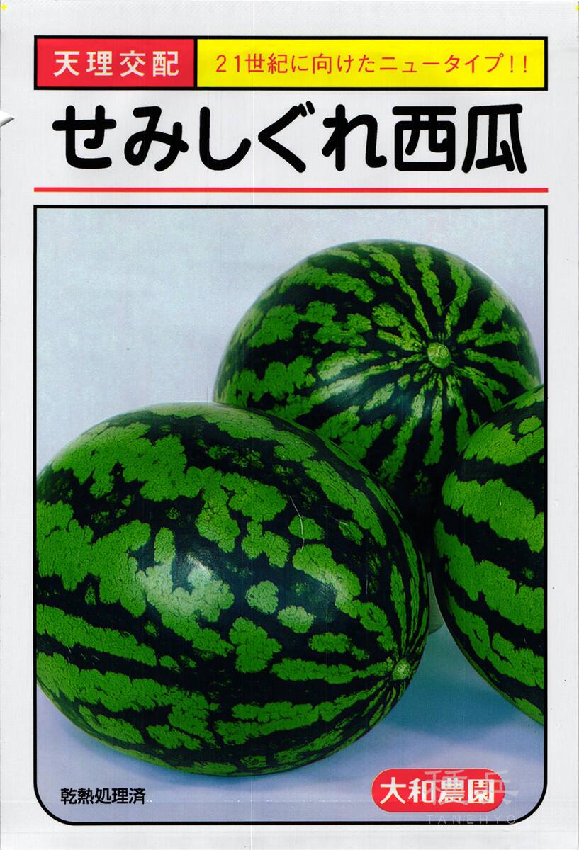 楕円大玉スイカ 種 『せみしぐれ』  大和農園
