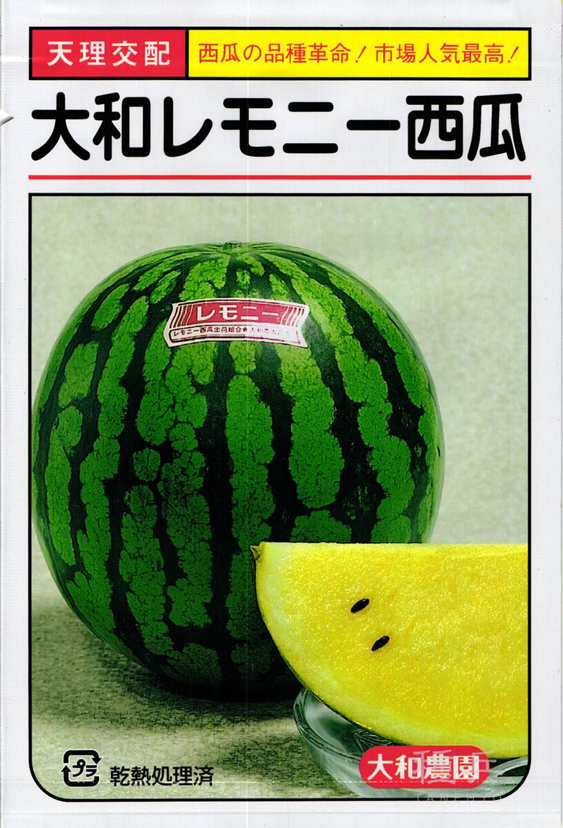 黄肉大玉スイカ 種 『大和レモニー』  大和農園