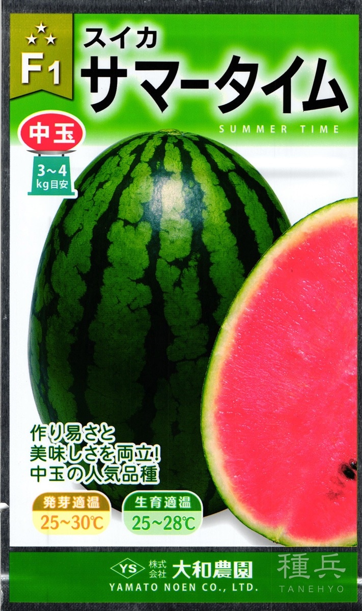 楕円中玉スイカ 種 『サマータイム』 大和農園 | たね,果菜の種,スイカ
